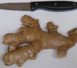 keep ginger fresh